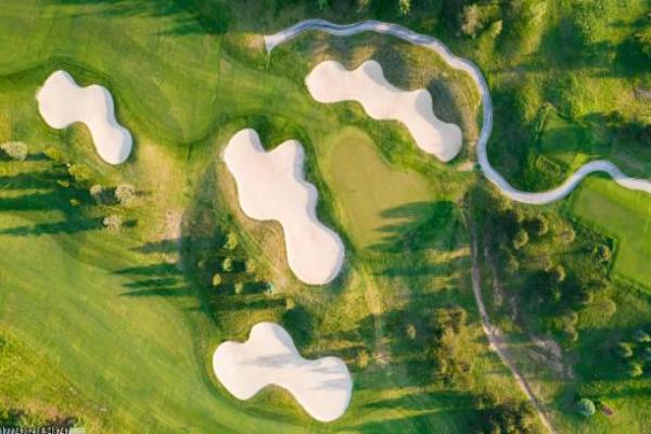 日照一中体育培训学校情况分析(图1)